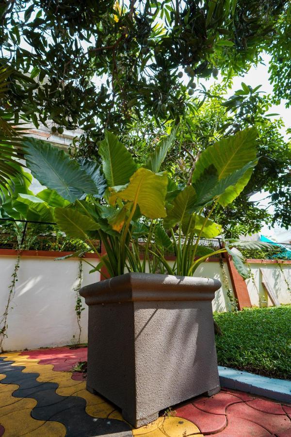Parudeesa - Heavenly- Luxurious Palace Look-Near Cbd - Kerala - India With Breakfast Kaladi Ngoại thất bức ảnh